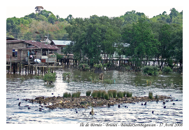 BandarSeriBegawan_MG_0668