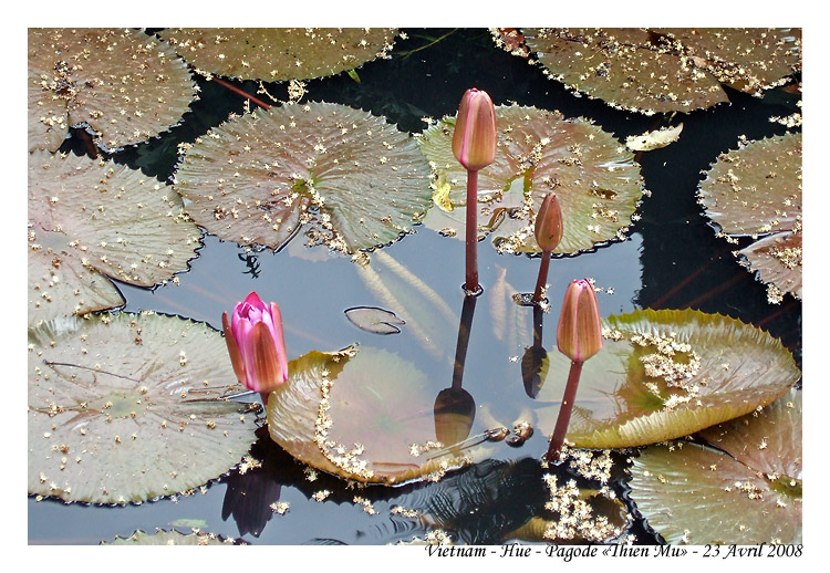 DaNang_MG_0928