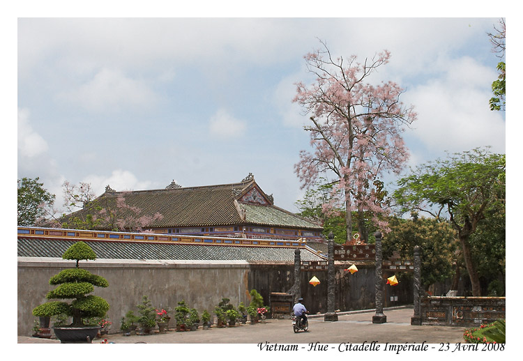 DaNang_MG_0948