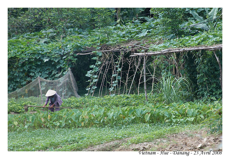DaNang_MG_0984