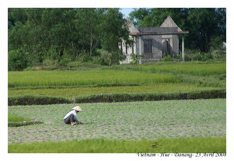 DaNang_MG_0985
