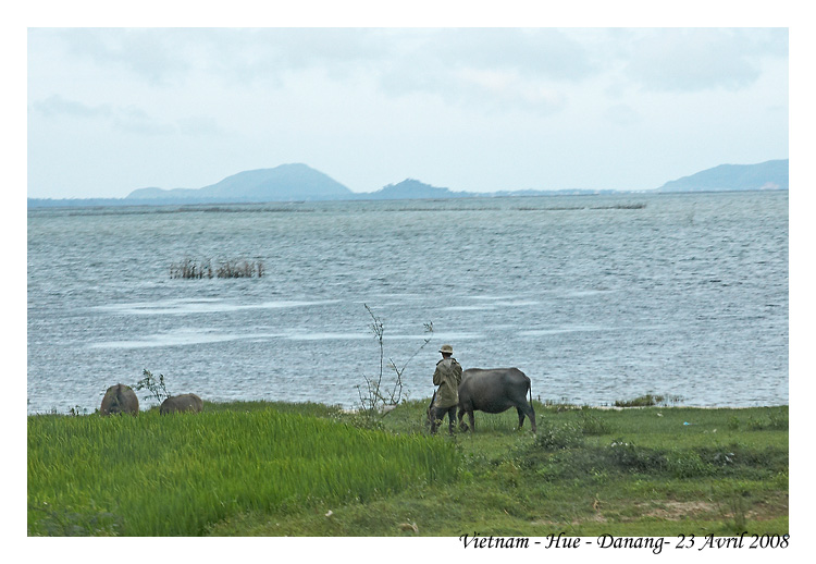 DaNang_MG_0987