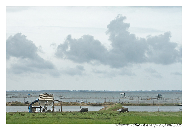 DaNang_MG_0988