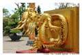 DaNang_MG_0927-2