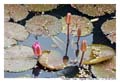 DaNang_MG_0928
