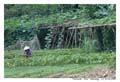 DaNang_MG_0984