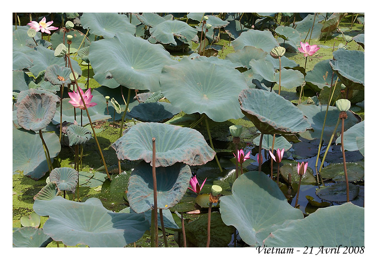 HoChiMinh_MG_0817