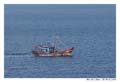 EnMer_MG_0788