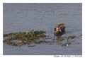 HoChiMinh_MG_0801