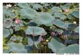 HoChiMinh_MG_0817