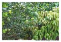 HoChiMinh_MG_0828