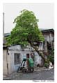 manille_MG_0577