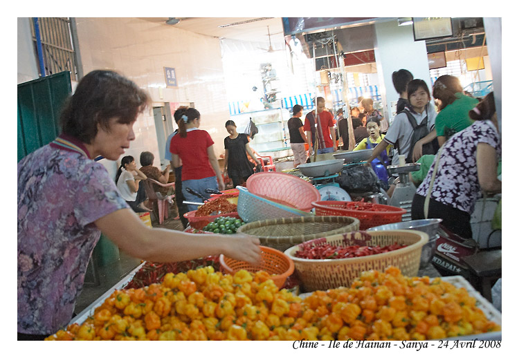 Sanya_MG_1033