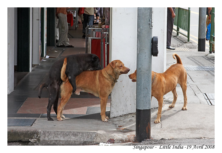 Singapour_MG_0722