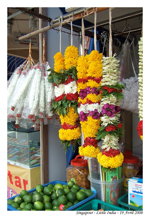 Singapour_MG_0725