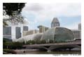 Singapour_MG_0755
