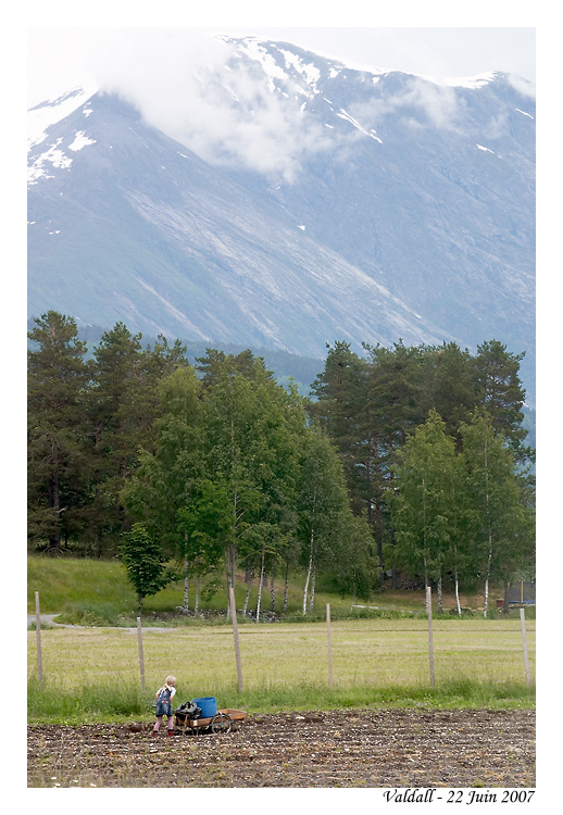 norvege_andalnes_6530