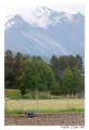 norvege_andalnes_6530