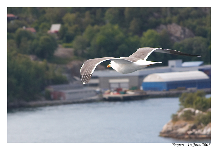 norvege_bergen_6280