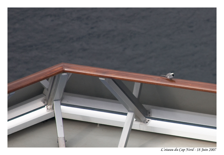 norvege_capnord_6328