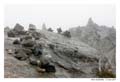 norvege_geiranger_6623