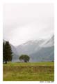 norvege_geiranger_6627