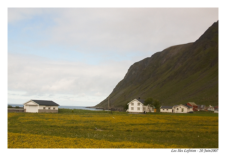norvege_lofoten_6355