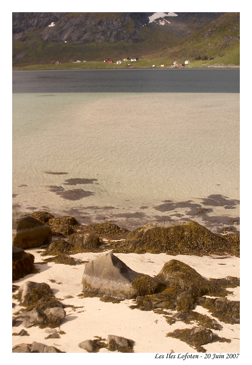 norvege_lofoten_6361