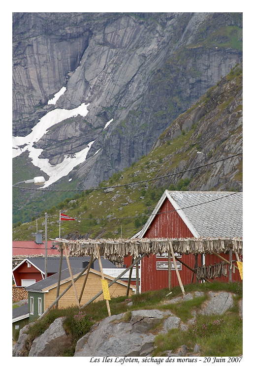 norvege_lofoten_6394