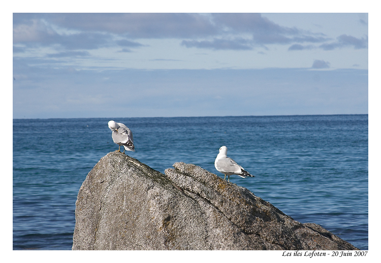 norvege_lofoten_6422