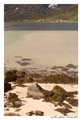 norvege_lofoten_6361