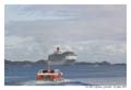 norvege_lofoten_6424