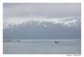 norvege_tromso_6350