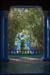 14-jardin_majorelle02