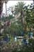 16-jardin_majorelle04