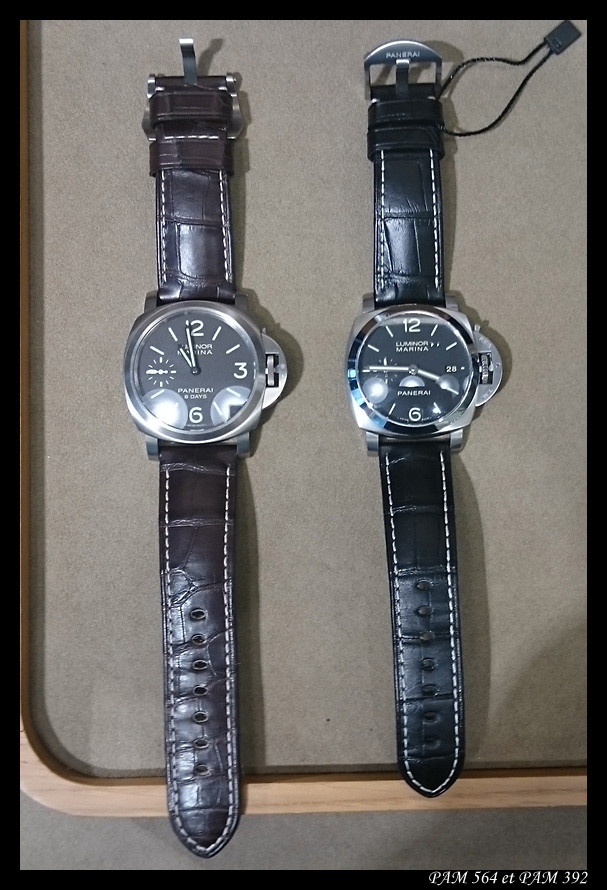 Retour chez Panerai en 42mm? Pam564+392-1